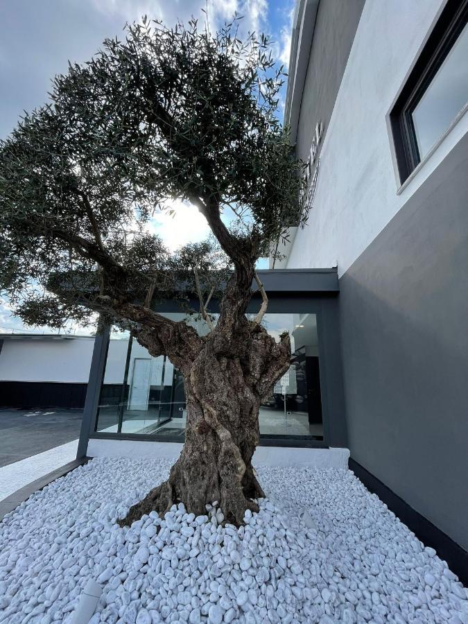 Hotel Cristian Giugliano In Campania Εξωτερικό φωτογραφία